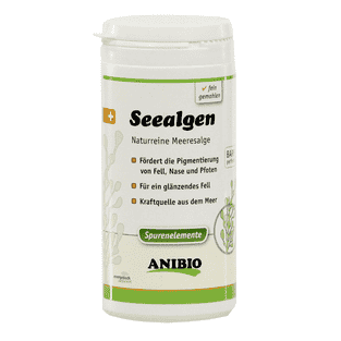 Seealgen