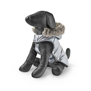 Manteau pour chien Hood Bubble