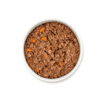 Sensible Bio Rind mit Karotten - purinarm