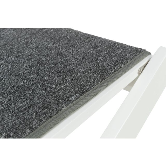 Ramp with fold-out steps