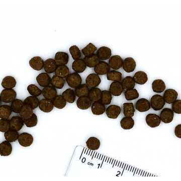 Speciality Line Kitten Rind