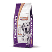 Adult All Breeds Lachs & Reis