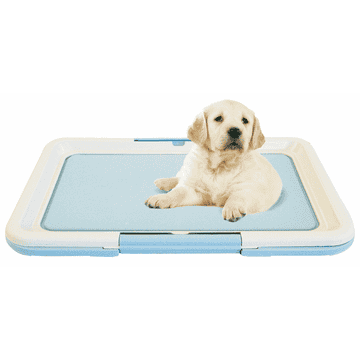 Puppy Toilettes chiots