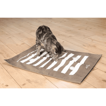 Cat Activity Paw Blanket