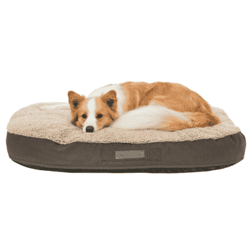 Vital Kissen Bendson, extra hoch