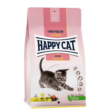 Young Kitten Volaille de campagne