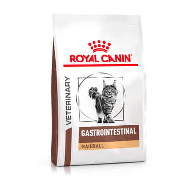 Gastrointestinal Hairball