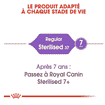 Sterilised 37