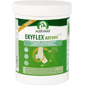 Ekyflex Arthro EVO