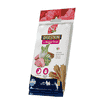 Canine Adult Mini Quinoa Digestion - Dental Treat