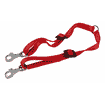 Twin leashes for dogs