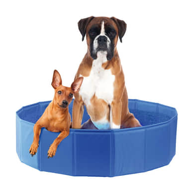 Piscine pour chiens Planchi