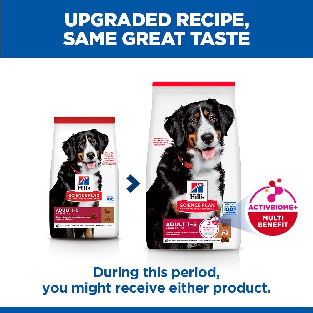Canine Adult Large Breed Lamb & Rice 12 + 2 kg Bonus Bag