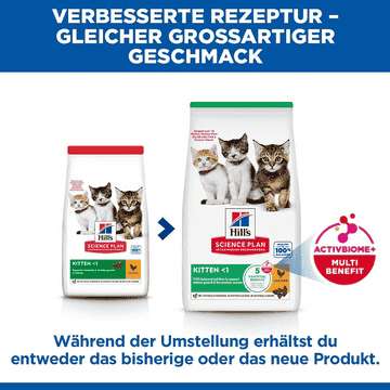 Kitten Chicken