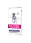 Dermatosis FP Dog