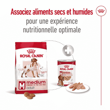 Medium Adult Loaf - Boîte