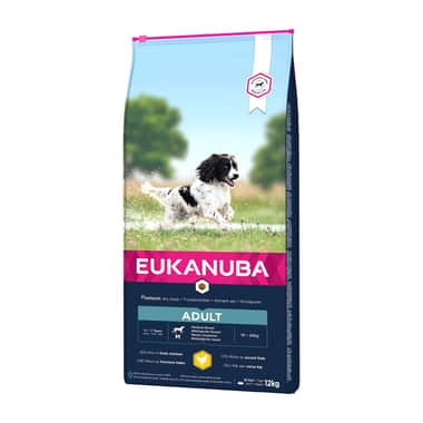 Active Adult Medium Breed