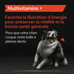 Dog Multivitamins +