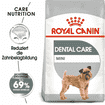 Dental Care Mini