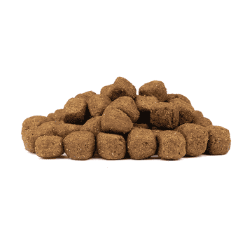 Limited Ingredients Canine Adult Game Duck