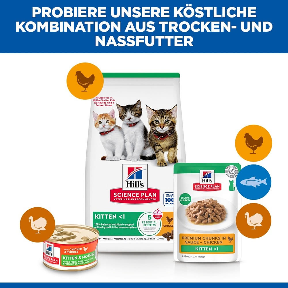 Kitten Chicken - Frischebeutel