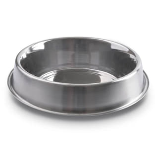 Dog bowl Anti Ant Bowl