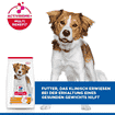 Canine Adult Light Medium Breed
