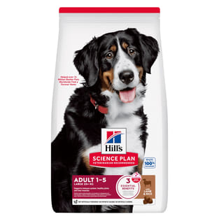 Canine Adult Large Breed Lamb & Rice