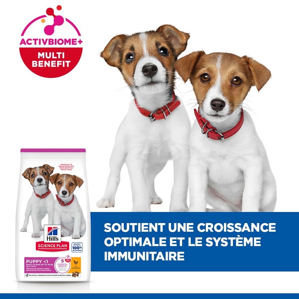 Puppy Small & Mini Breed