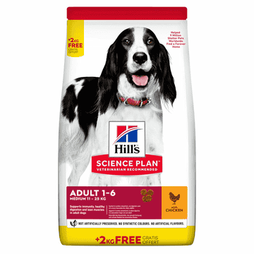 Canine Adult Medium Breed Chicken 12 + 2 kg Bonus Bag