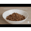 Canine Adult Light Small & Mini Breed