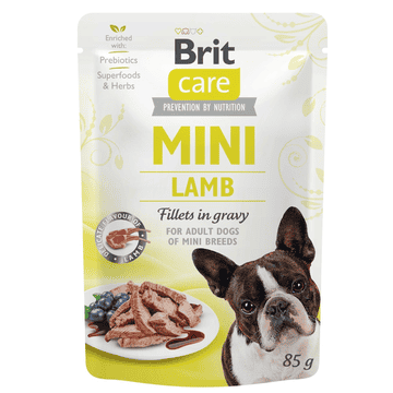 Care Mini Lamb