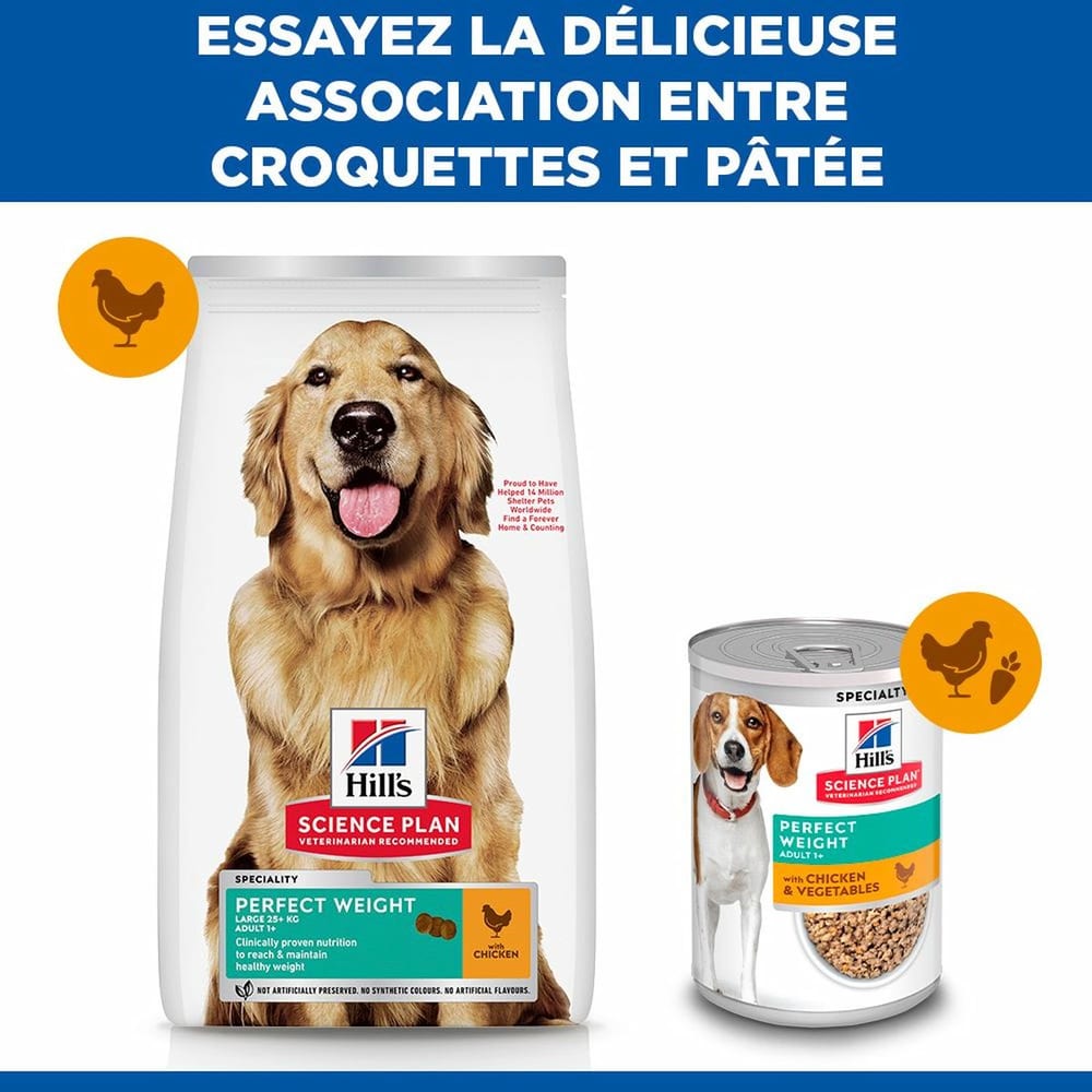 Canine Adult Perfect Weight Large Breed