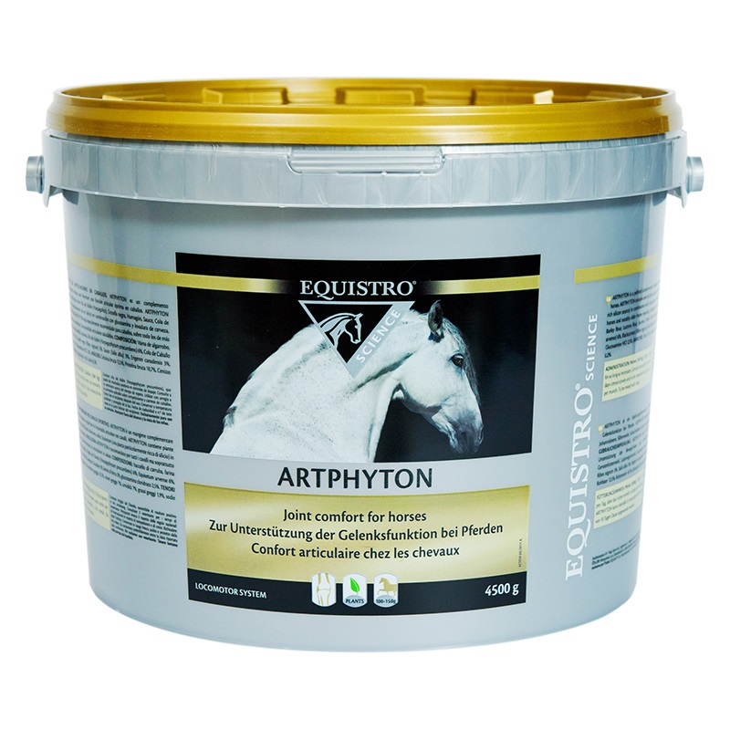 Artphyton