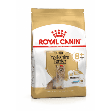 Yorkshire Terrier 8+