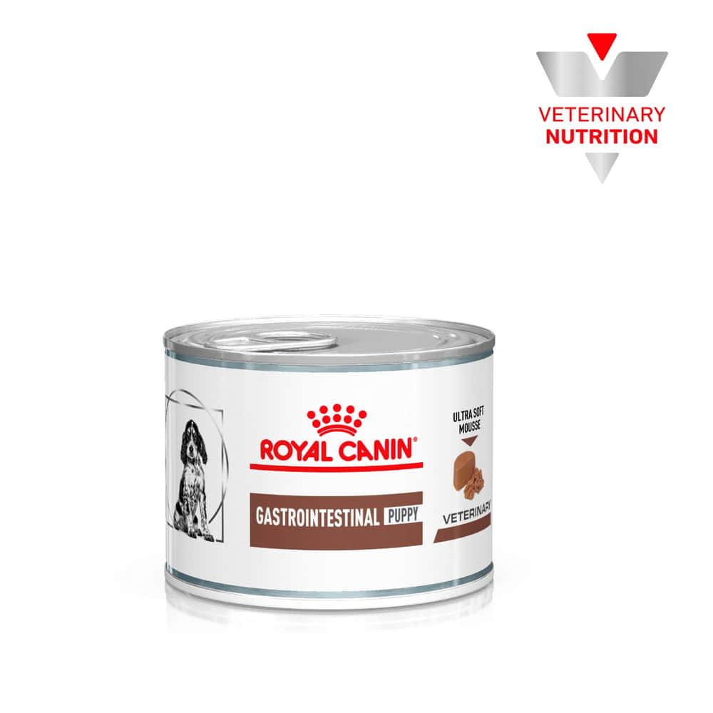 Gastrointestinal Puppy Ultra Soft Mousse - Boîte