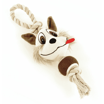 Crazy Fox