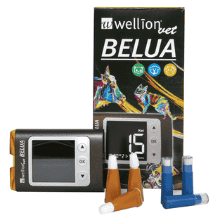 Belua