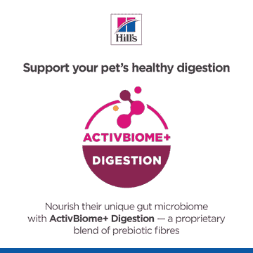 Canine Perfect Digestion Medium Breed