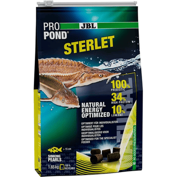 PRO POND Sterlet