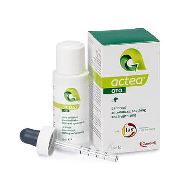 Actea Oto