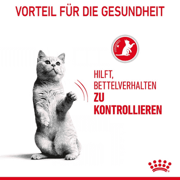 Appetite Control