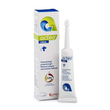 Actea Oral