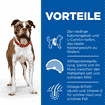 Canine Adult Light Medium Breed