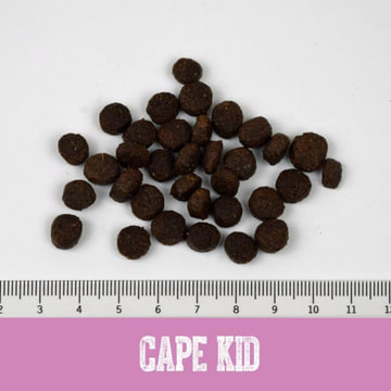 Cape Kid Puppy Huhn & Lachs
