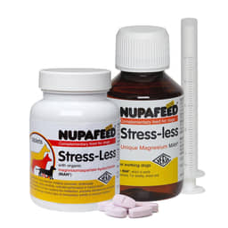 DOG-Stress-less