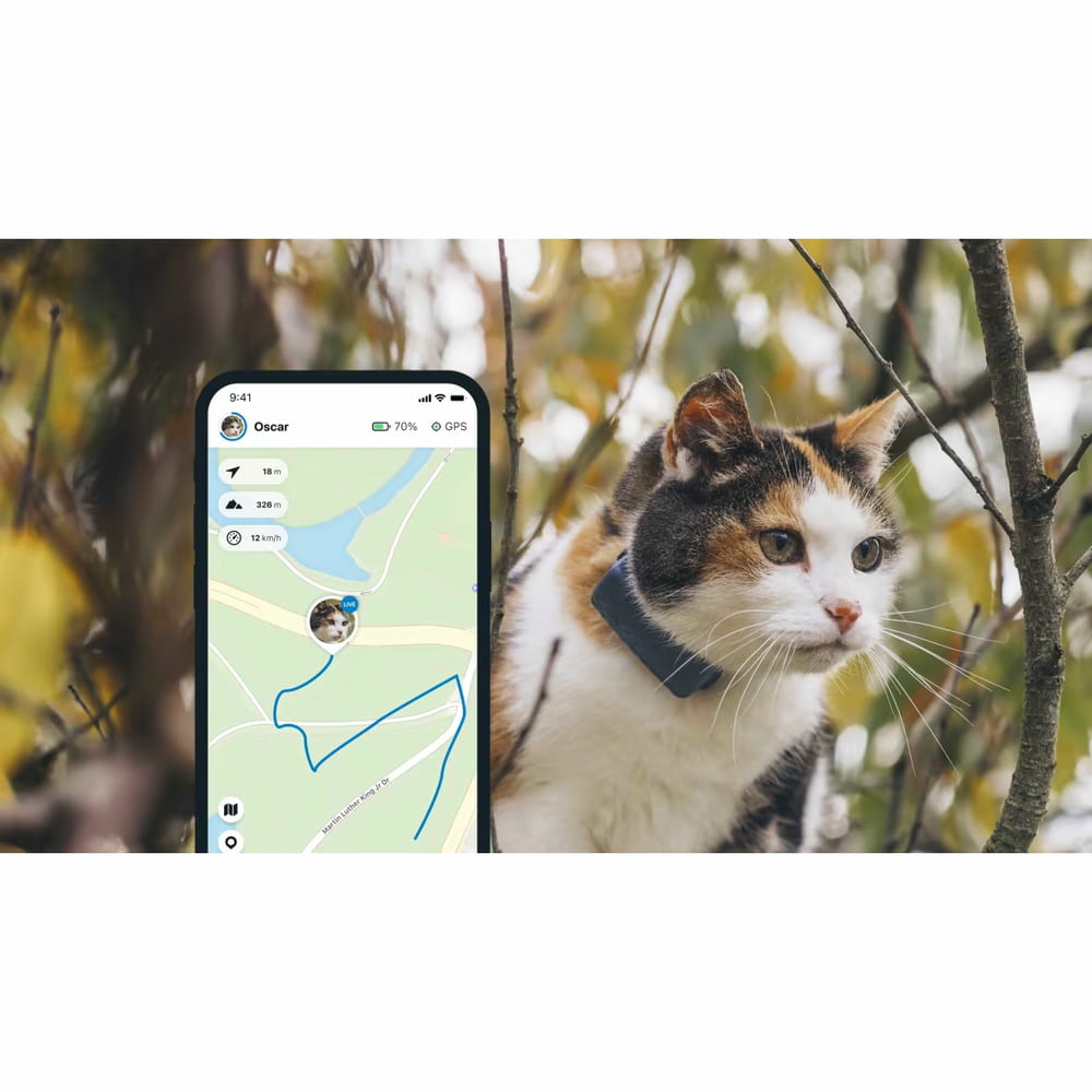 GPS Tracker für Katzen