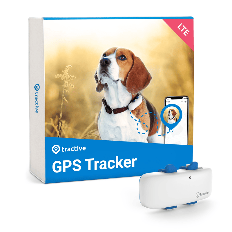 Tractive GPS Tracker für Hunde online kaufen iPet.ch