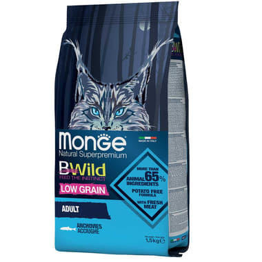 Cat Anchovies