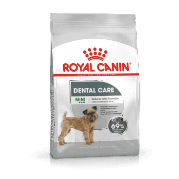 Dental Care Mini